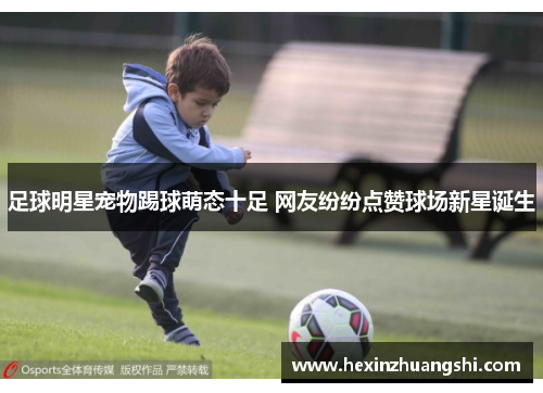 足球明星宠物踢球萌态十足 网友纷纷点赞球场新星诞生