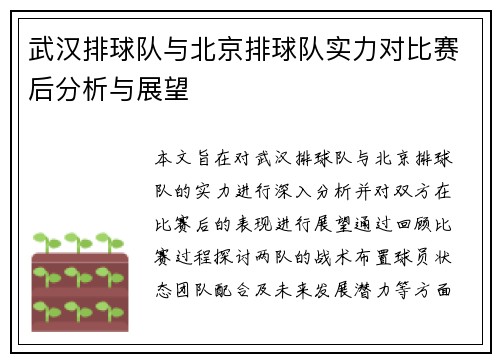 武汉排球队与北京排球队实力对比赛后分析与展望