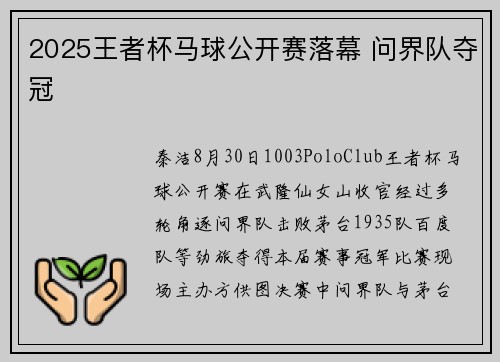 2025王者杯马球公开赛落幕 问界队夺冠